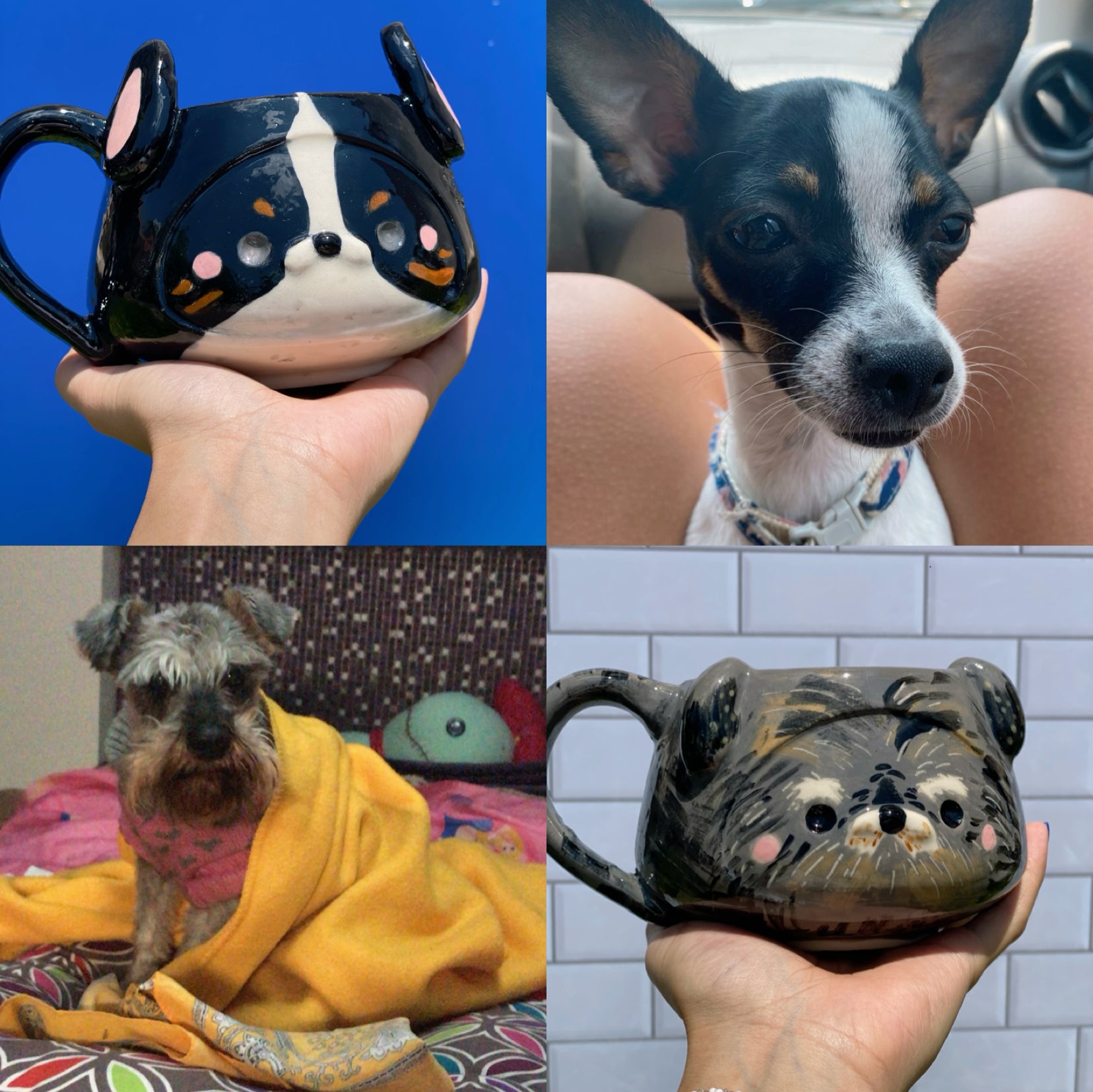 Fidelia💛 - Taza de Mascota - personalizable🐾