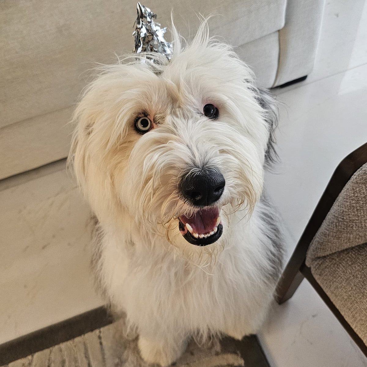 Llavero Personalizado de tu Mascota 🐾